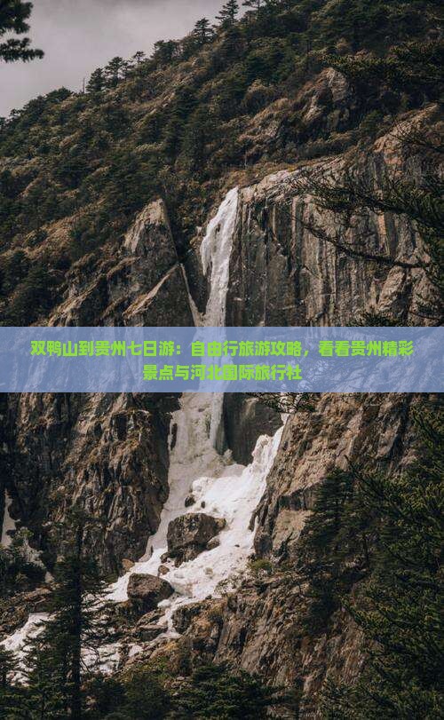 双鸭山到贵州七日游：自由行旅游攻略，看看贵州精彩景点与河北国际旅行社