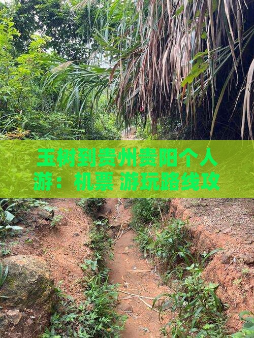 玉树到贵州贵阳个人游：机票+游玩路线攻略