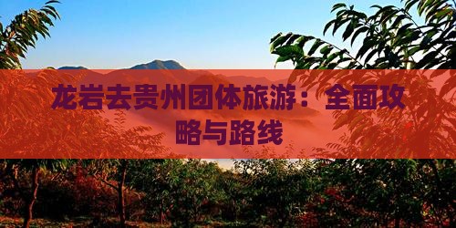 龙岩去贵州团体旅游：全面攻略与路线
