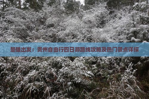 楚雄出发：贵州自由行四日游路线攻略及热门景点详探