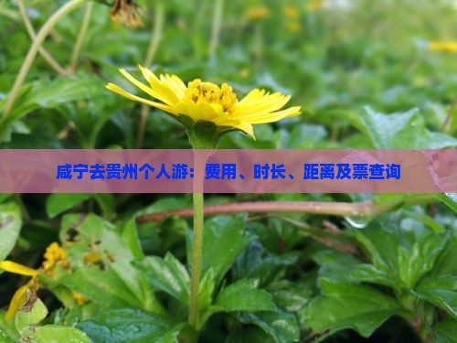咸宁去贵州个人游：费用、时长、距离及票查询