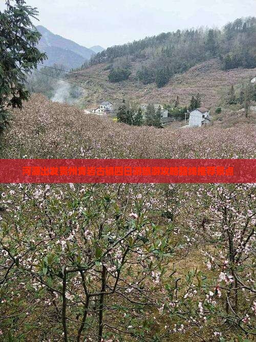 河源出发贵州青岩古镇四日游旅游攻略路线推荐景点