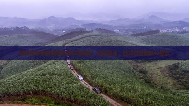 攀枝花到贵州贵阳旅游小吃攻略：沿途景点、自驾行路线及公里数