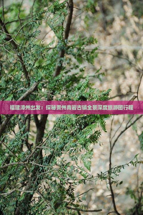 福建漳州出发：探秘贵州青岩古镇全景深度旅游团行程