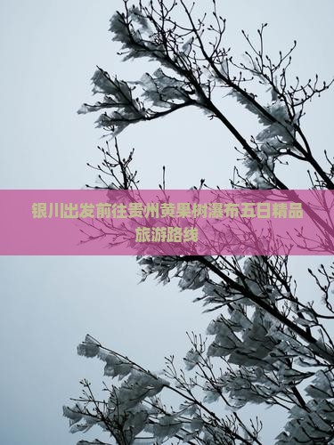 银川出发前往贵州黄果树瀑布五日精品旅游路线