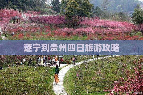 遂宁到贵州四日旅游攻略