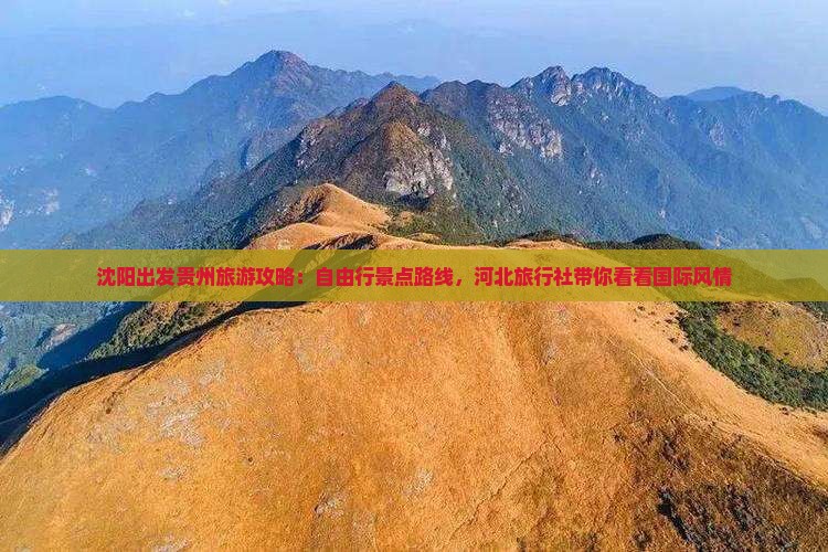 沈阳出发贵州旅游攻略：自由行景点路线，河北旅行社带你看看国际风情