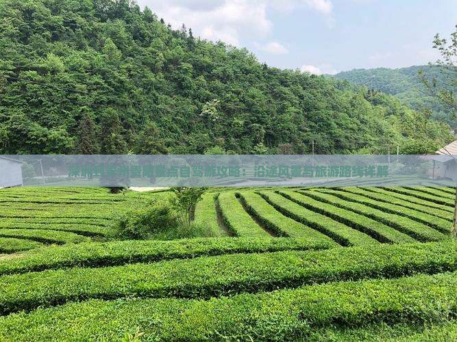 深圳到贵州贵阳景点自驾游攻略：沿途风景与旅游路线详解