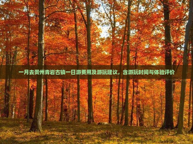一月去贵州青岩古镇一日游费用及游玩建议，含游玩时间与体验评价