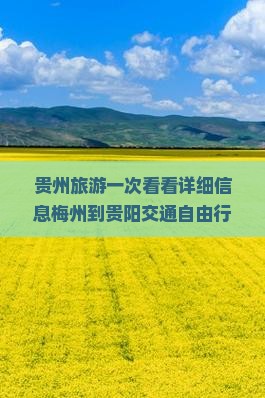 贵州旅游一次看看详细信息梅州到贵阳交通自由行路线旅行社