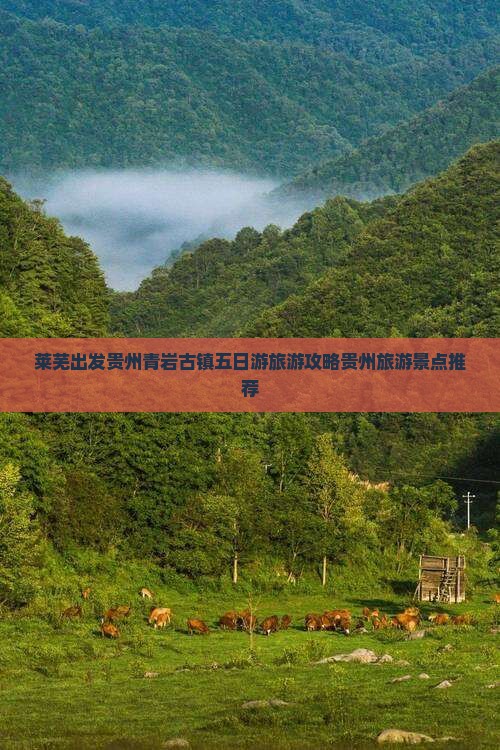 莱芜出发贵州青岩古镇五日游旅游攻略贵州旅游景点推荐