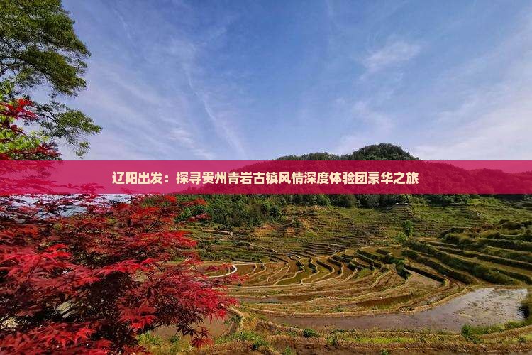 辽阳出发：探寻贵州青岩古镇风情深度体验团豪华之旅