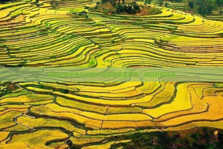 崇左去贵州青岩古镇六日游攻略及费用、游玩时间详解