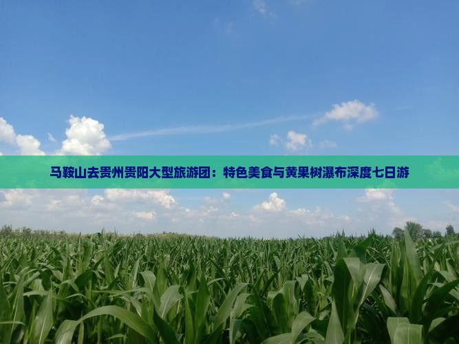 马鞍山去贵州贵阳大型旅游团：特色美食与黄果树瀑布深度七日游