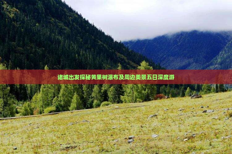 诸城出发探秘黄果树瀑布及周边美景五日深度游