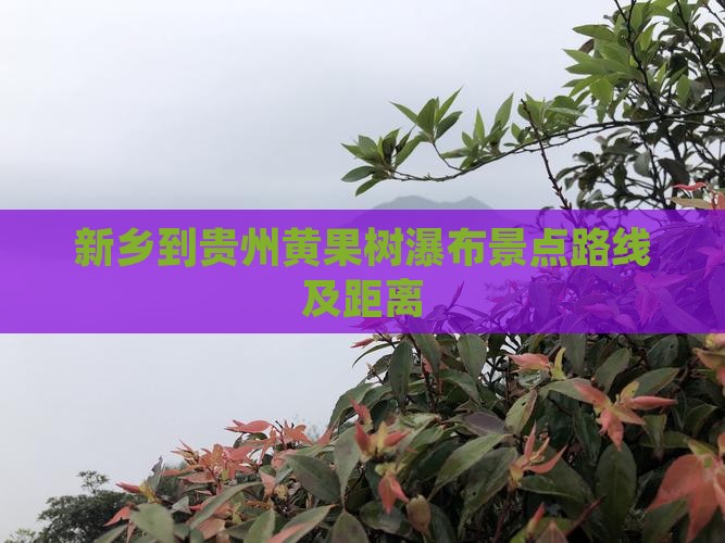 新乡到贵州黄果树瀑布景点路线及距离