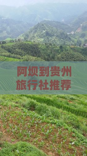 阿坝到贵州旅行社推荐贵阳精彩贵州旅游之旅