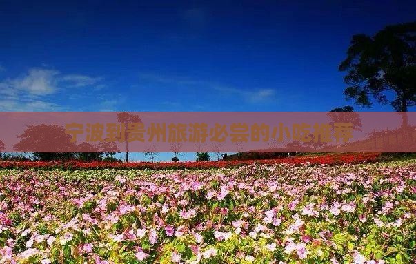 宁波到贵州旅游必尝的小吃推荐