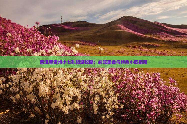 普洱至贵州小七孔旅游攻略：必吃美食与特色小吃指南