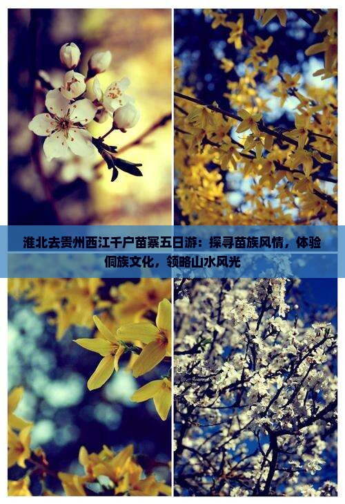 淮北去贵州西江千户苗寨五日游：探寻苗族风情，体验侗族文化，领略山水风光