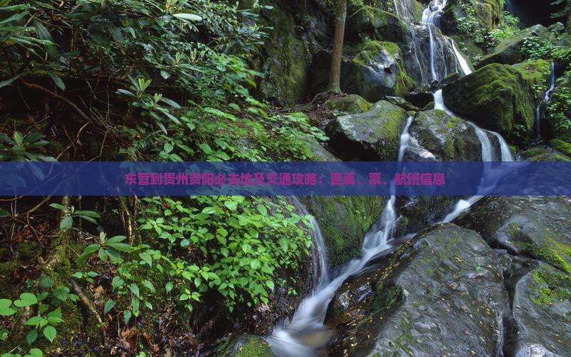 东营到贵州贵阳必去地及交通攻略：距离、票、航班信息