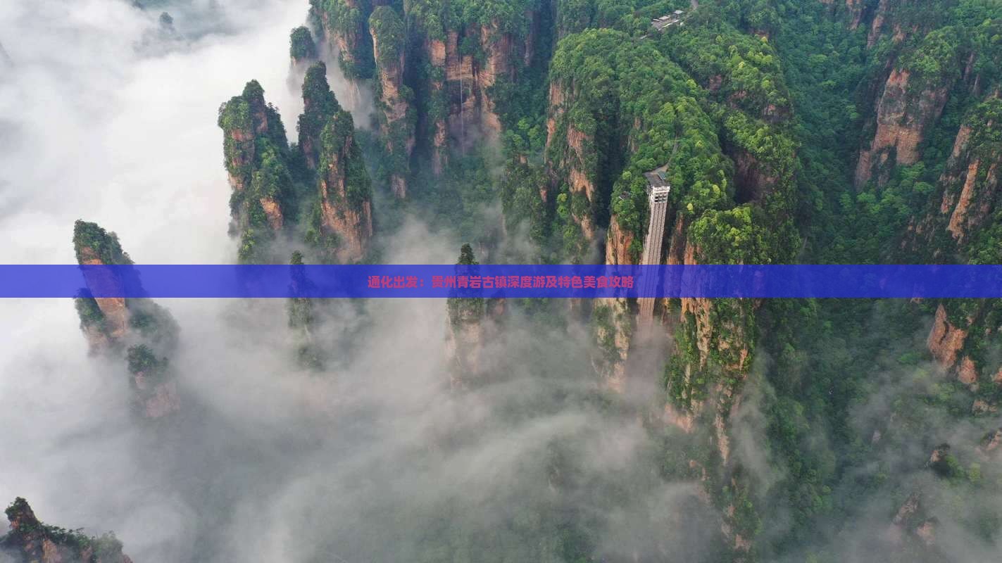 通化出发：贵州青岩古镇深度游及特色美食攻略