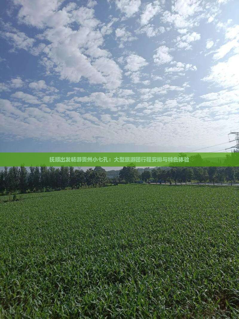 抚顺出发畅游贵州小七孔：大型旅游团行程安排与特色体验
