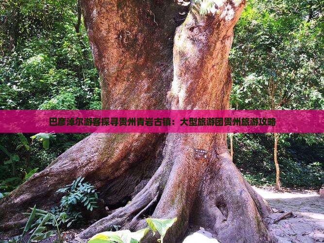 巴彦淖尔游客探寻贵州青岩古镇：大型旅游团贵州旅游攻略