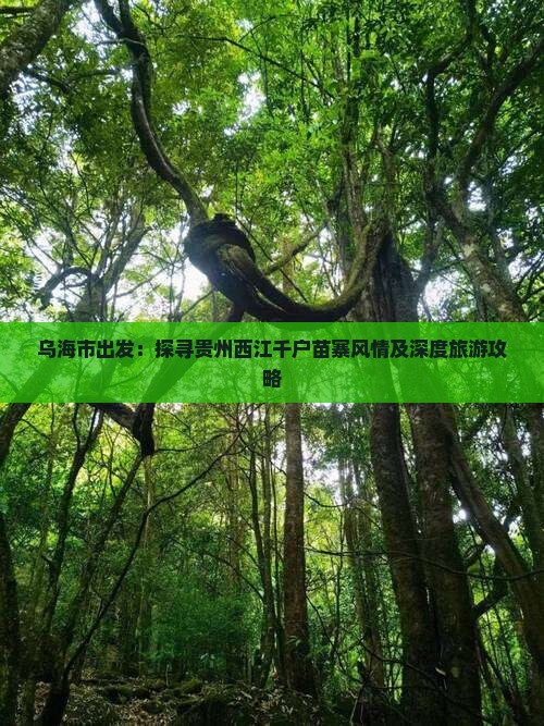 乌海市出发：探寻贵州西江千户苗寨风情及深度旅游攻略