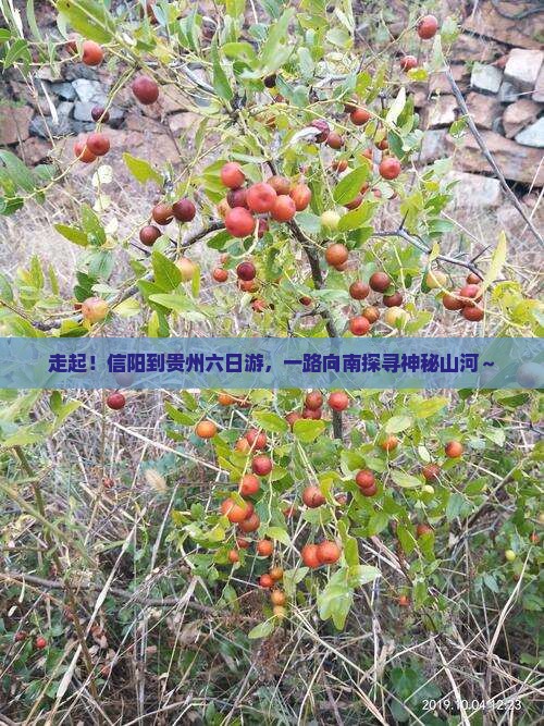 信阳到贵州六日游