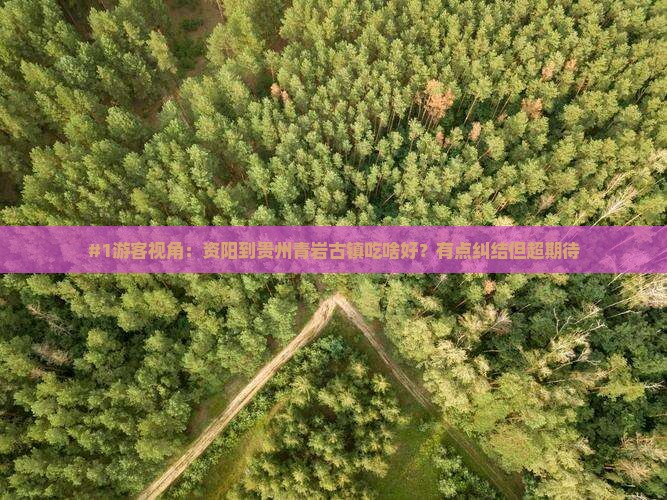 资阳去贵州青岩古镇旅游小吃