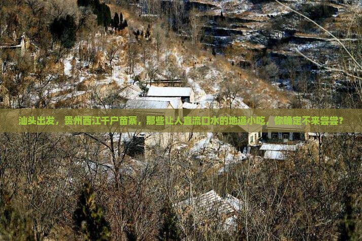 汕头去贵州西江千户苗寨旅游小吃