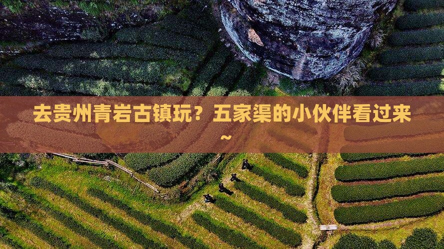 五家渠去贵州青岩古镇哪里玩