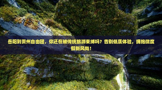 岳阳到贵州自由团