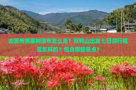 双鸭山去贵州黄果树瀑布七日游