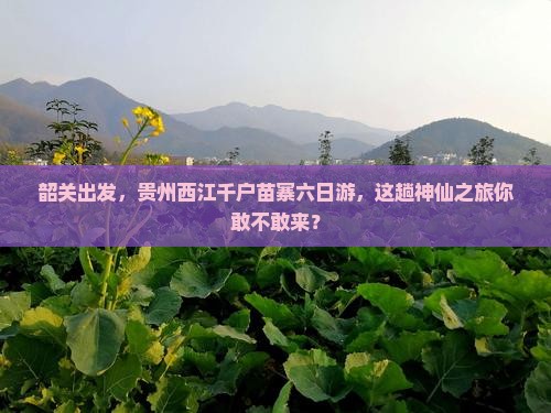 韶关去贵州西江千户苗寨六日游