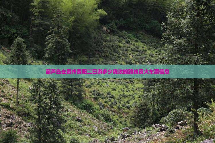 葫芦岛去贵州贵阳二日游