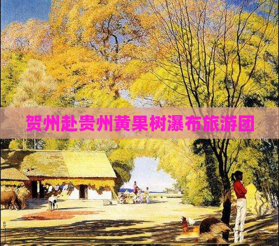 贺州到贵州黄果树瀑布团体旅游