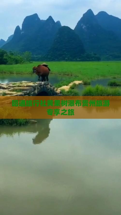 昭通旅行社黄果树瀑布贵州旅游专享之旅