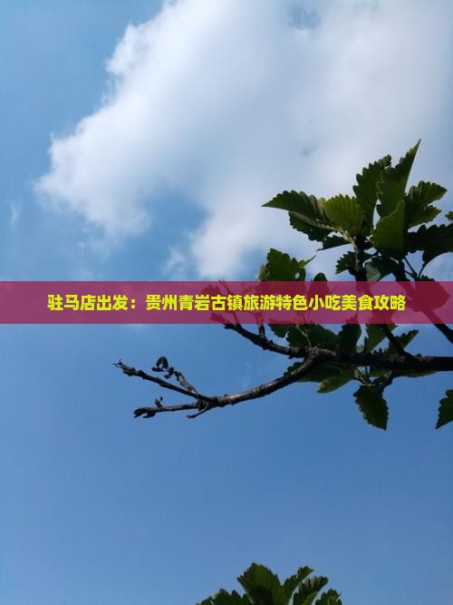 驻马店出发：贵州青岩古镇旅游特色小吃美食攻略