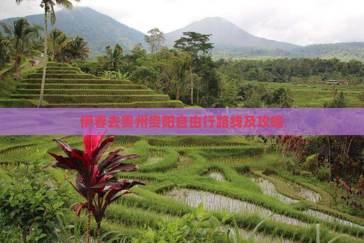 伊春去贵州贵阳自由行路线及攻略
