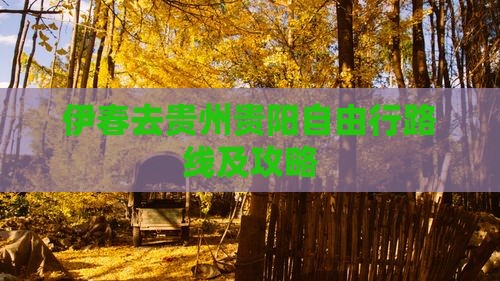 伊春去贵州贵阳自由行路线及攻略