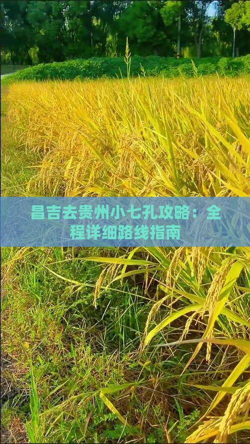 昌吉去贵州小七孔攻略：全程详细路线指南