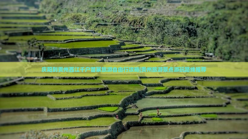 庆阳到贵州西江千户苗寨旅游自由行攻略|贵州旅游景点游玩路线推荐