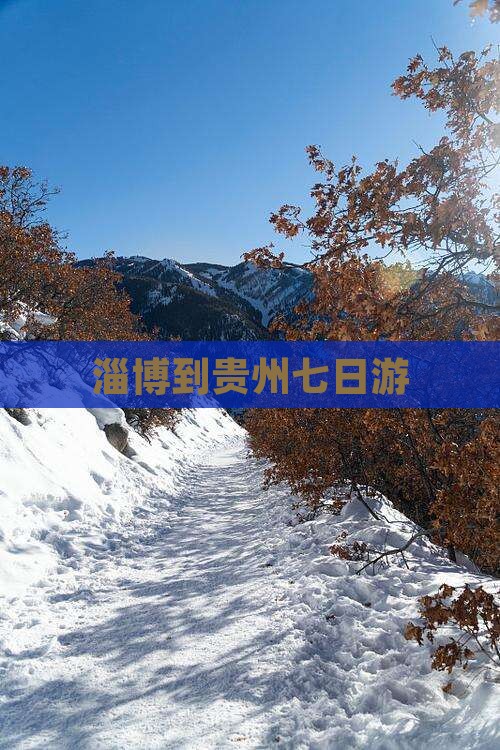 淄博到贵州七日游