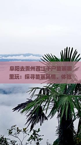 阜阳去贵州西江千户苗寨哪里玩：探寻苗寨风情、体验苗族文化攻略指南
