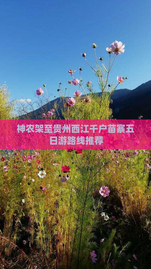 神农架至贵州西江千户苗寨五日游路线推荐