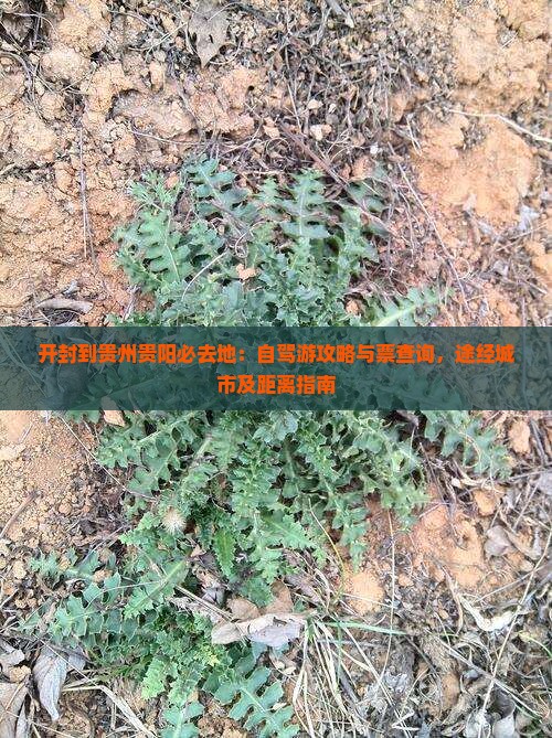 开封到贵州贵阳必去地：自驾游攻略与票查询，途经城市及距离指南