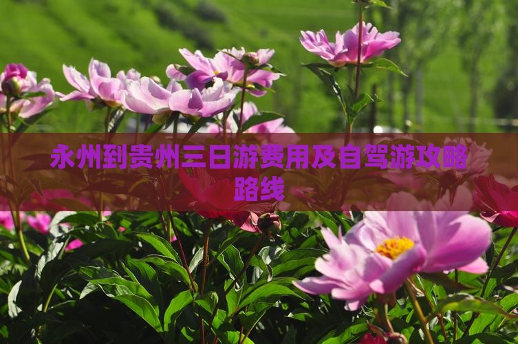 永州到贵州三日游费用及自驾游攻略路线