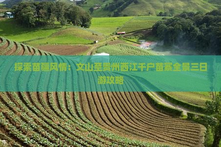 探索苗疆风情：文山至贵州西江千户苗寨全景三日游攻略